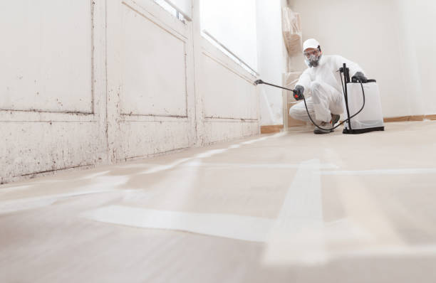 24/7 Emergency Crawl Space Mold Removal experts in Plant City, FL